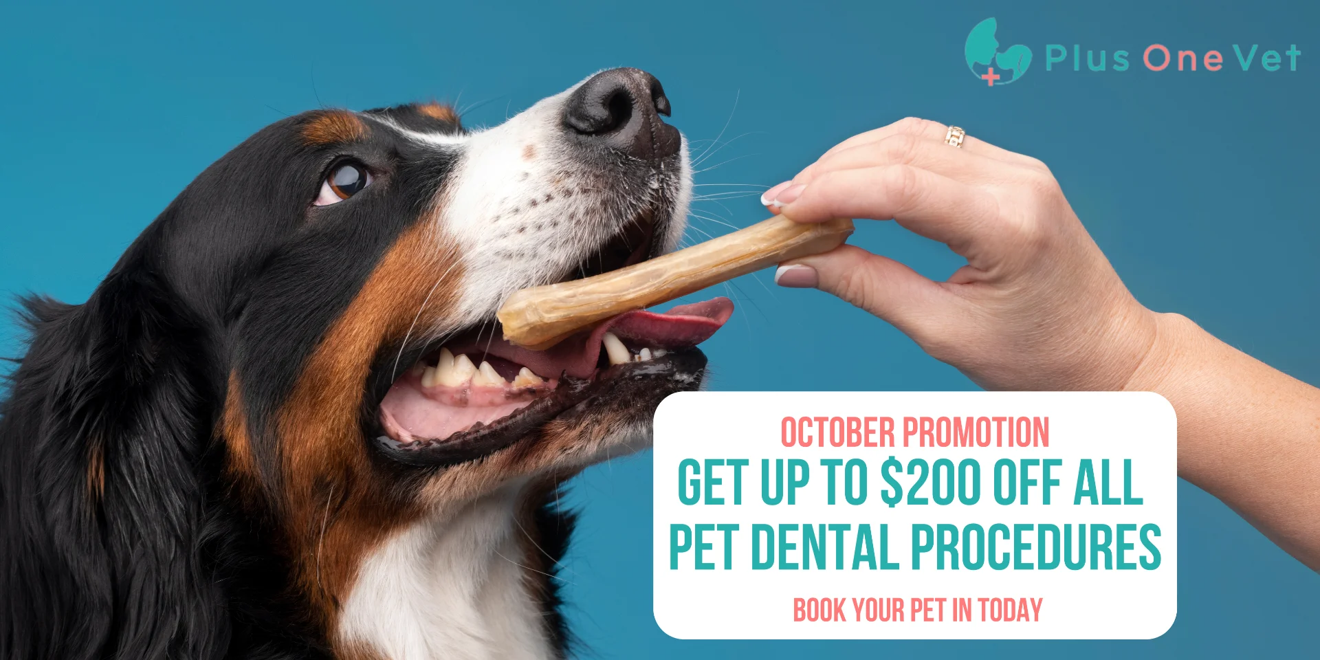 August Pet Vaccination Promo