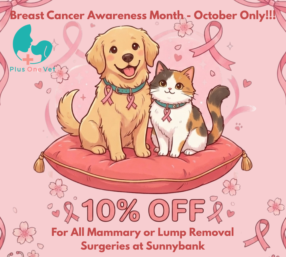 October Promotion October Promotion